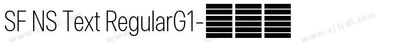 SF NS Text RegularG1字体转换